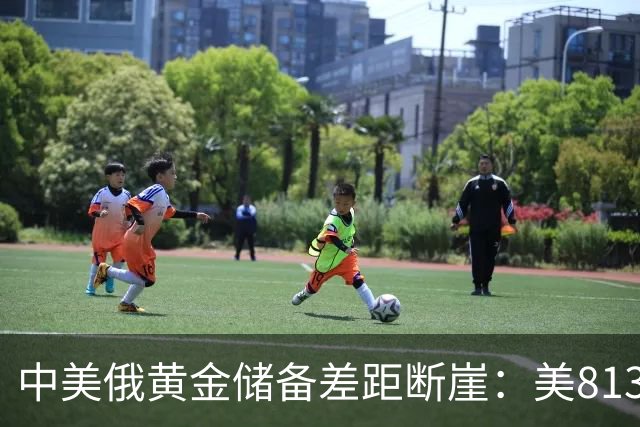 中美俄黄金储备差距断崖：美8133吨，俄罗斯2350吨，中国令人意外