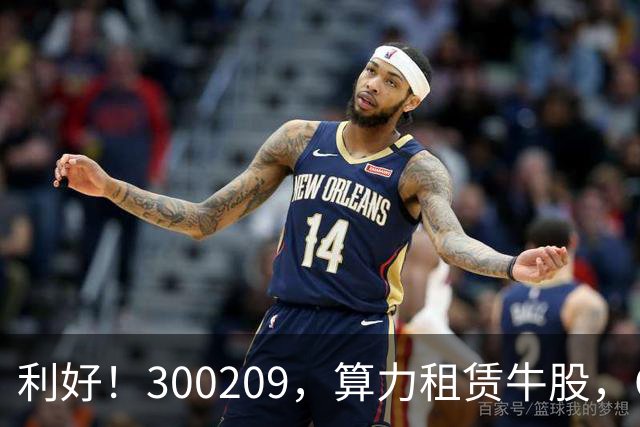 利好！300209，算力租赁牛股，Q3营收大增55倍