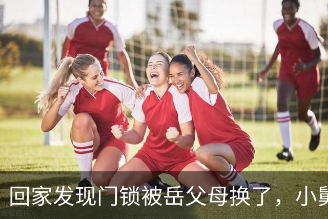 回家发现门锁被岳父母换了，小舅子得意洋洋地说：姐夫，这房子现在归我了，请你搬出去