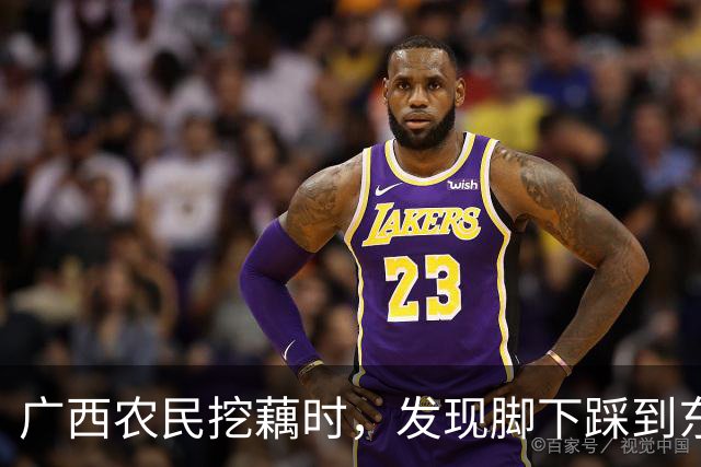 广西农民挖藕时，发现脚下踩到东西，众人合力将其挖出后全都傻眼