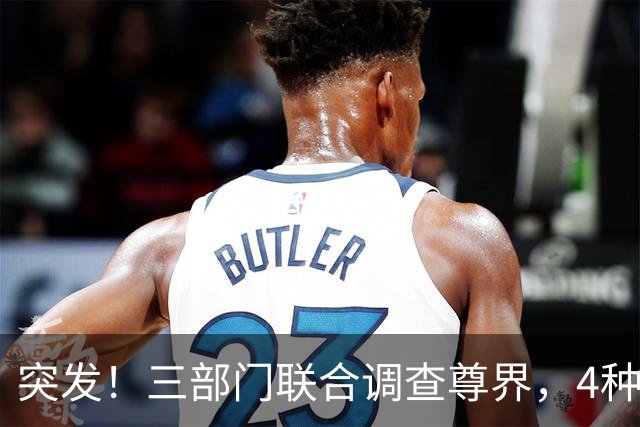 突发！三部门联合调查尊界，4种"可能性"和2个"规范性"