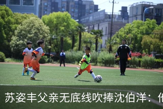 苏姿丰父亲无底线吹捧沈伯洋：他若当选，把台北改造成亚洲最伟大的城市