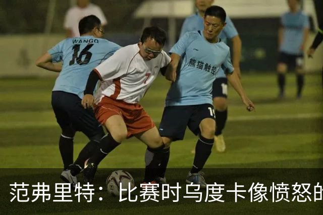 范弗里特：比赛时乌度卡像愤怒的公牛，我是沟通桥梁
