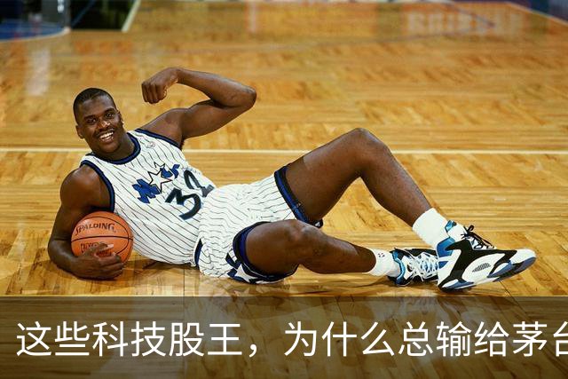这些科技股王，为什么总输给茅台？