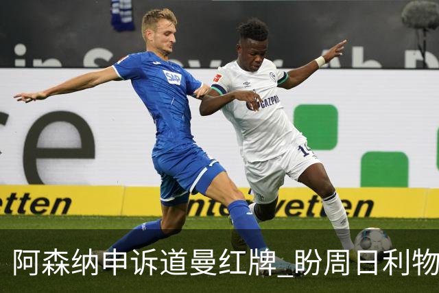 阿森纳申诉道曼红牌 盼周日利物浦战前出结果