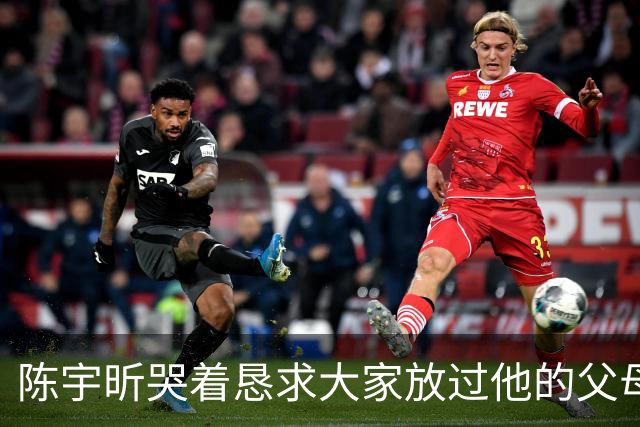 陈宇昕哭着恳求大家放过他的父母，说他的父母没有过错
