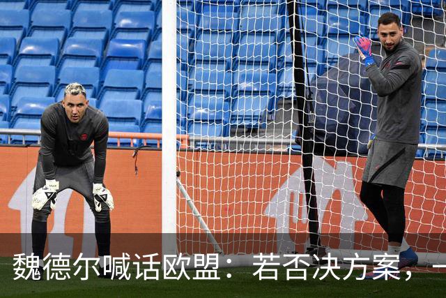 魏德尔喊话欧盟：若否决方案，一旦选择党上台，德国直接公投脱欧
